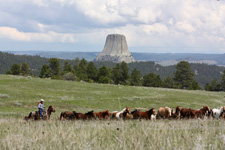 USA-Wyoming-Devils Tower View Working Ranch